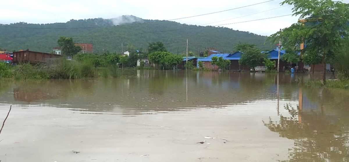 वर्षाले उदयपुरको मुसहर बस्ती डुबानमा
