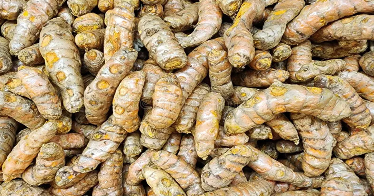 कर्णालीको अदुवा–बेसार विदेशी बजारमा रोजाइ