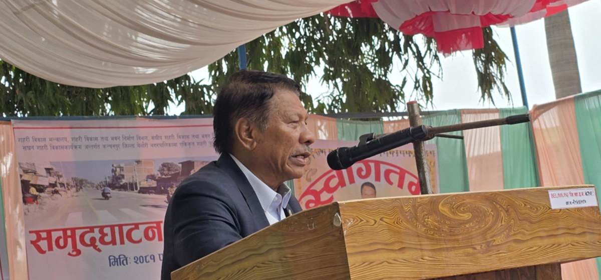 विकास निर्माणको काम दलहरुले मिलेर काम गर्नुपर्छ: उपप्रधानमन्त्री सिंह