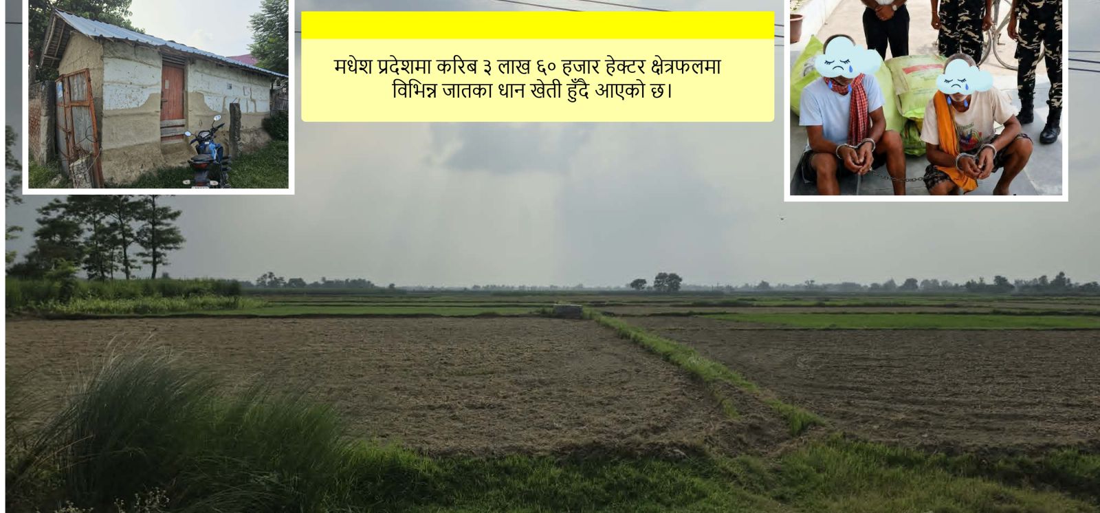 मल अभावले सर्लाहीका खेत बाँझै, भारतबाट मल ल्याउँदा दुई नेपाली पक्राउ