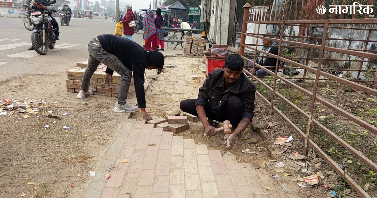 फुटपाथ सौन्दर्यीकरण गर्दै नेपालगन्ज उपमहानगर