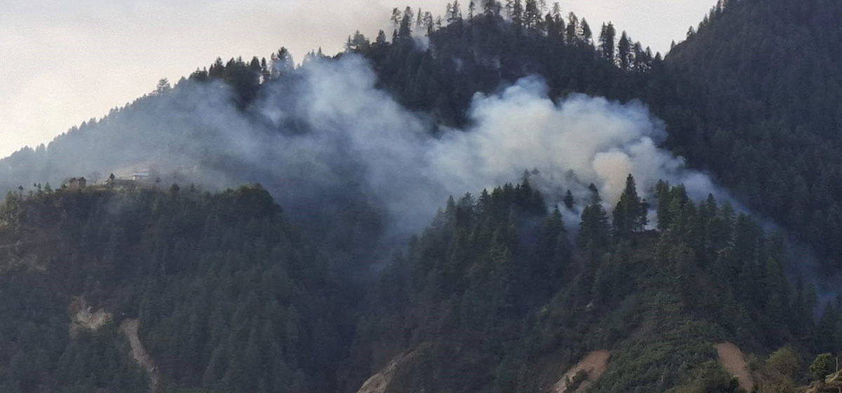 जुम्लामा ३३० हेक्टरमा डढेलोबाट वन क्षति