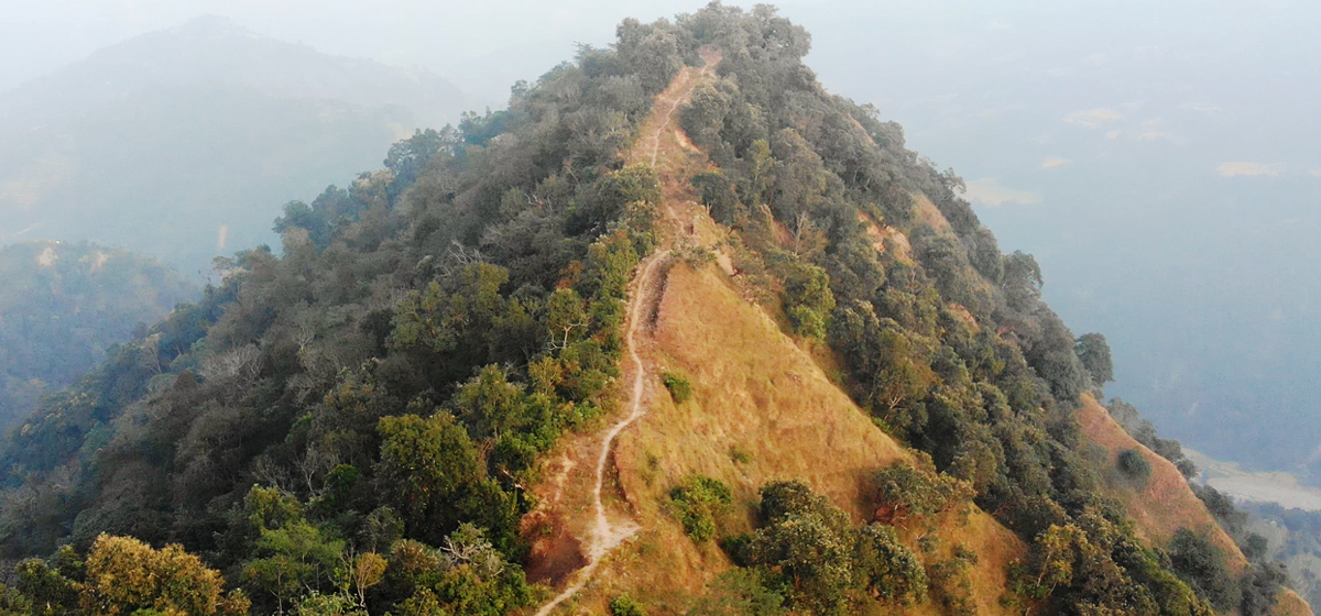 बाख्रा चराउन जाँदा भिरबाट लडेर मृत्यु
