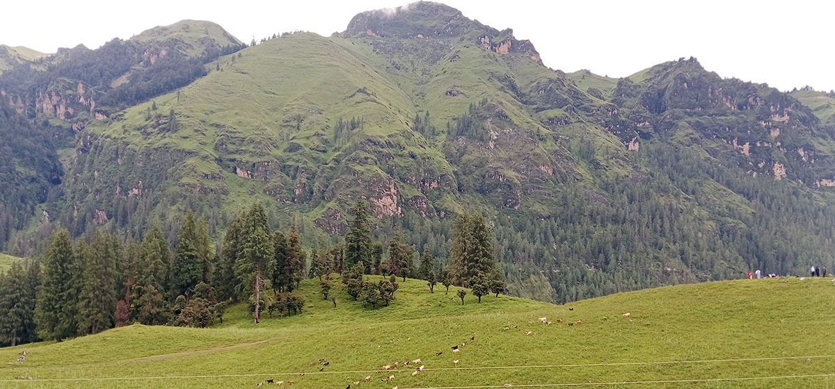 पर्यटकको रोजाइमा पर्दै जुम्लाको धिमीचौर