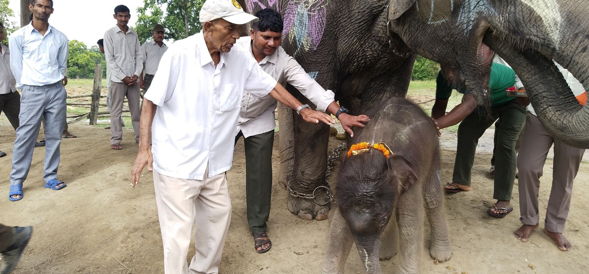 पूर्वसंरक्षण अधिकृत रामप्रित यादवको सम्मानमा छावाको नाम