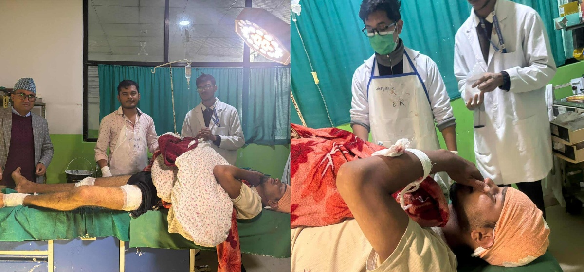 जुम्लामा भालुको आक्रमण : तीन गम्भीर घाइते