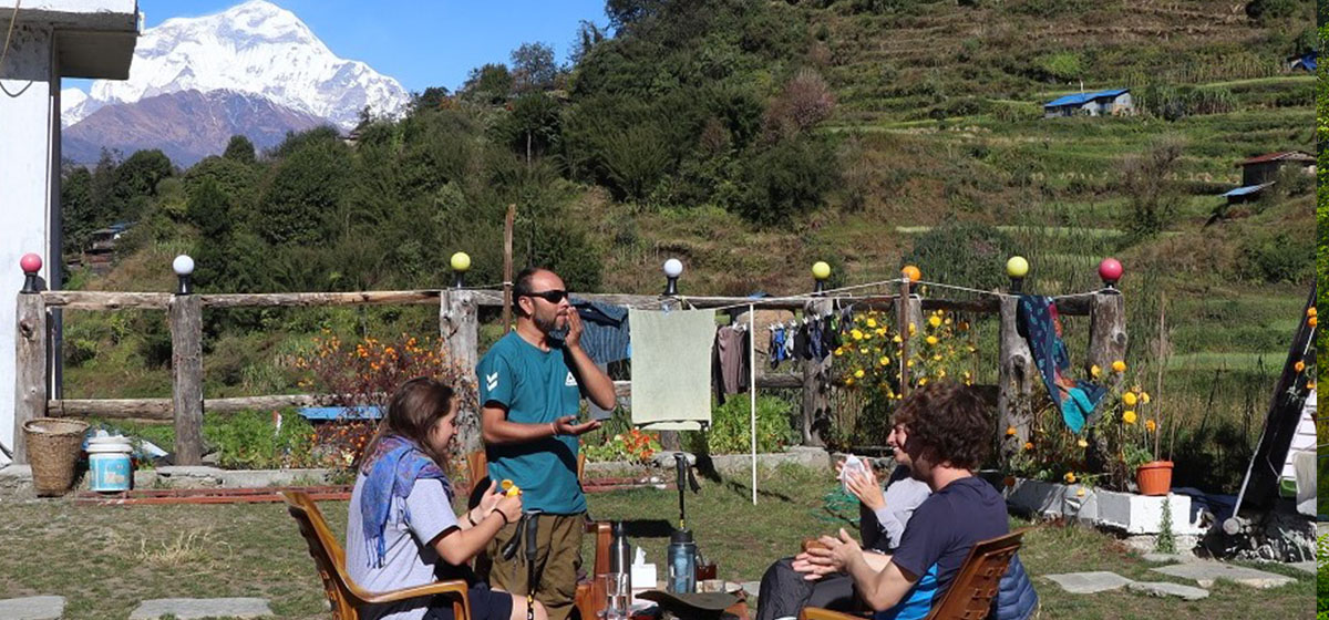 पर्यटकको रोजाइमा अन्नपूर्ण–धौलागिरि पदमार्ग