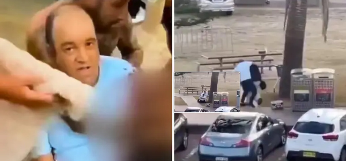 सिड्नी गोलीबारीका ‘साहसी’ नायक अहमद : आफ्नो ज्यान ‘दाउ’मा राखेर धेरैलाई बचाए