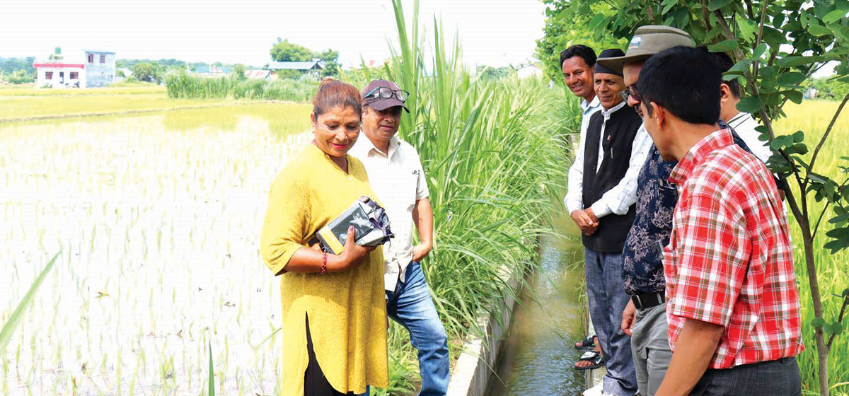 सिँचाइ पुगेपछि रमौलीको कारोबार वार्षिक दुई अर्ब