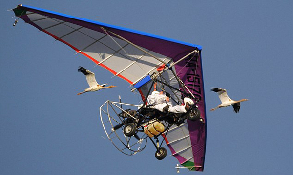 article-2198963-14DC2C8B000005DC-175 634x380