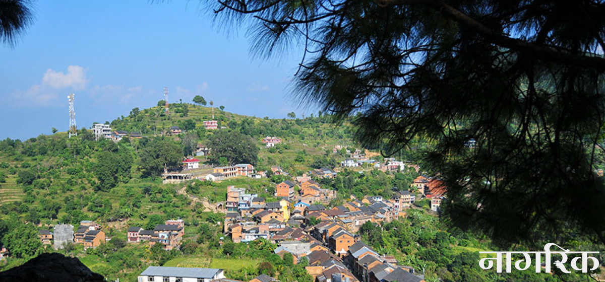 Photo: BANDIPUR news