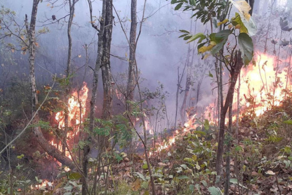 मानवीय लापर्वाहीबाट डढेलोको उच्च जोखिम