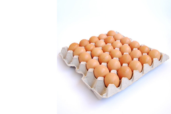 अण्डाको माग र मूल्य बढ्यो