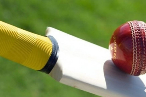 एलाइट कप क्रिकेट प्रतियोगिता १४ गतेदेखि