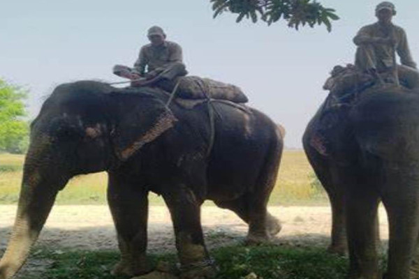 हात्तीबाट बाली जोगाउन गस्ती टोली परिचालन