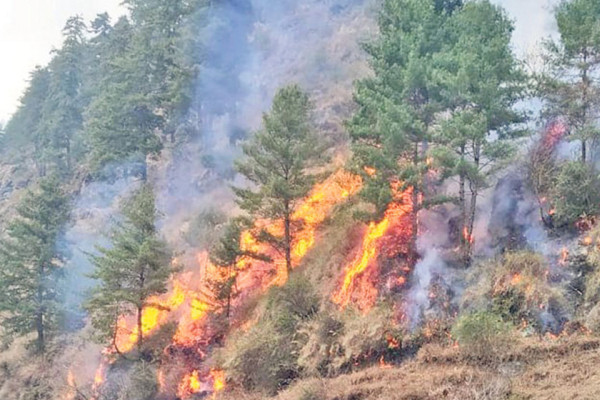 डढेलोको उच्च जोखिममा चितवन