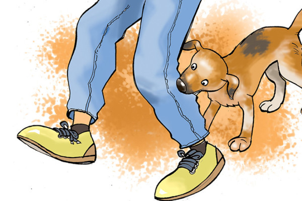 सुदूरपश्चिममा रेबिज संक्रमणको चुनौती बढ्दो