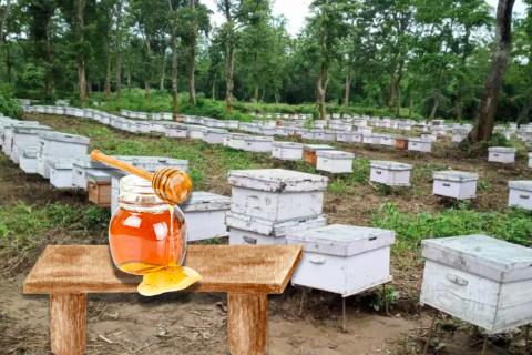 मह आयात खुलाइएपछि किसान आक्रोशित