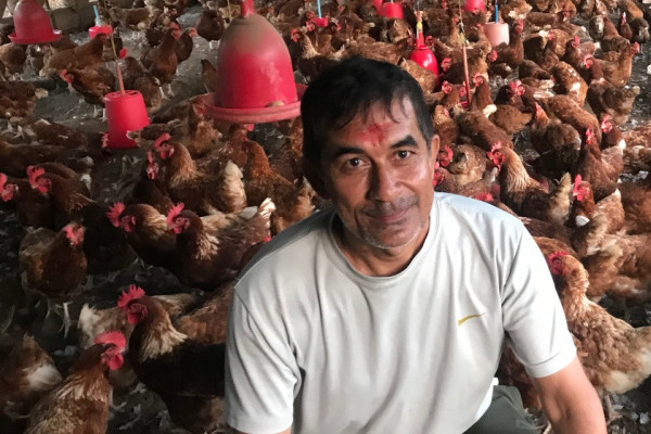 दुबई छोडेर गाउँमै मासिक एक लाख : कुखुरापालक अर्जुनको सफलता