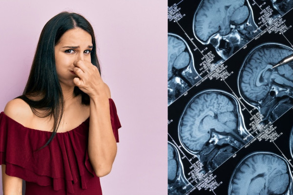 आफ्नै पाद सुँघ्नुका रहस्यमयी फाइदा! वैज्ञानिक पनि चकित