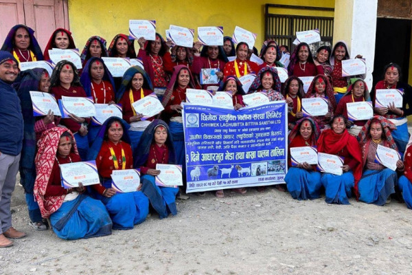 तालिमपछि जुम्लाका महिलाले भने : भेडापालन अब घरको काम रहेन, कमाइको बाटो पनि बन्यो