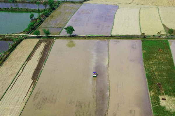 कृषि आधुनिकीकरण परियोजनामा ४० अर्ब खर्च