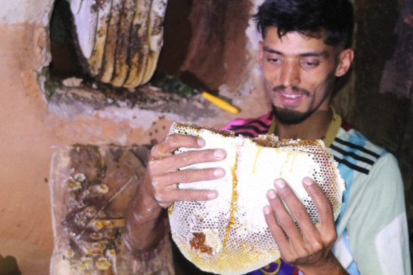 पूजा गर्ने खोप्पाको मौरी घार, आम्दानीको स्रोत बन्दै