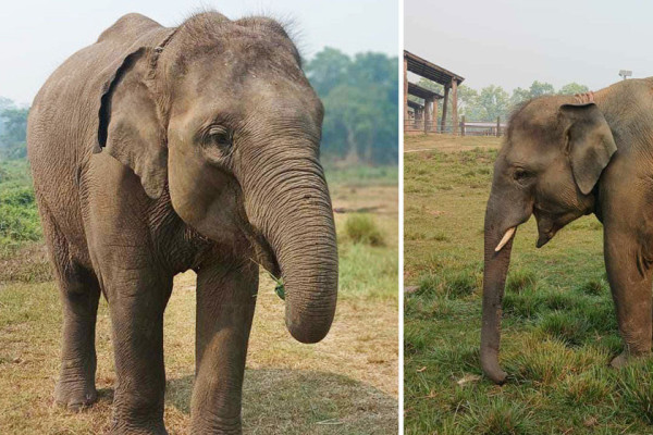 खगेन्द्रप्रसाद र रूद्रकली भोलि सौराहाबाट कतार जाँदै
