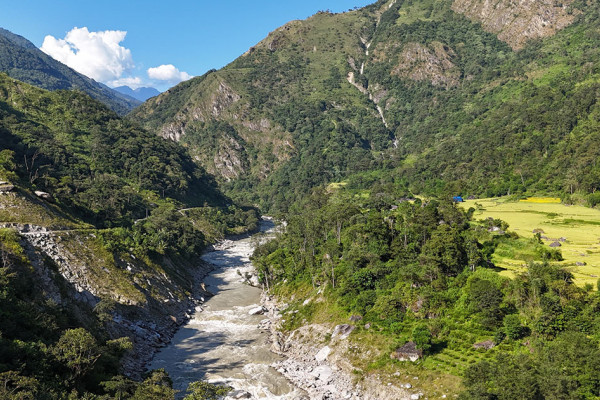 माथिल्लो अरुण आयोजना निर्माणका लागि दुई हजार बढी रुख काटियो