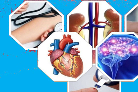 नसर्ने तथा मानसिक रोग नियन्त्रण गर्न राजनीतिक प्रतिबद्धता