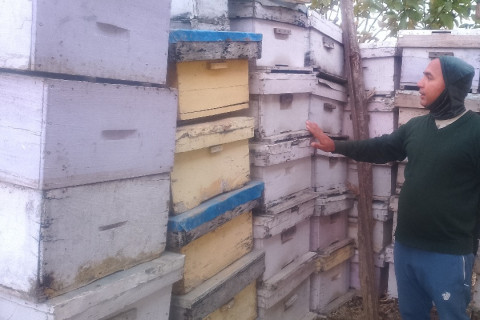 सेनाको जागिरबाट अवकाशपछि मौरीपालन : घनश्यामको वार्षिक २० लाख कमाइ