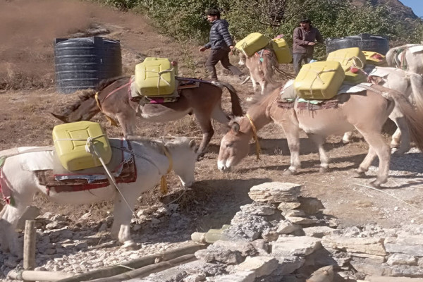 खच्चडलाई पानी बोकाएर खानेपानी ट्याङ्की निर्माण गरिँदै