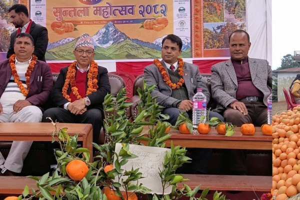 पोखरामा सुन्तला महोत्सव हुँदा पनि किसान बेखुस