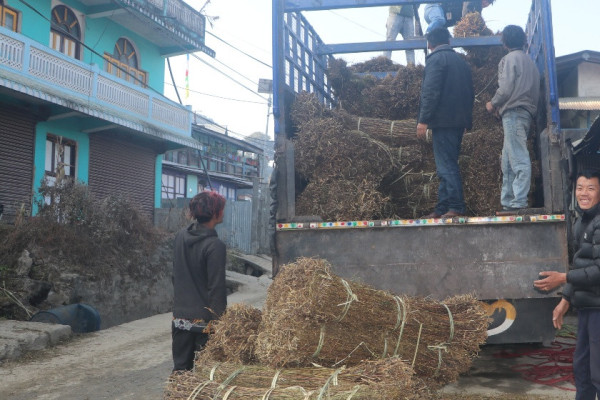 चिराइतो बिक्री नहुँदा किसान चिन्तित