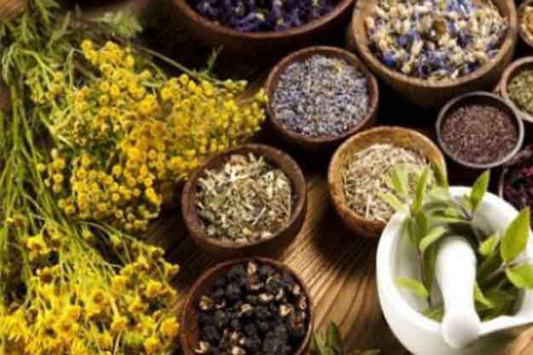 नेपालगञ्ज नाकाबाट जडीबुटी निर्यात बढ्यो