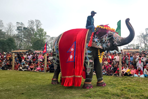 चितवनको पर्याय बनेको 'हात्ती महोत्सव' कसरी सुरु भयो ?