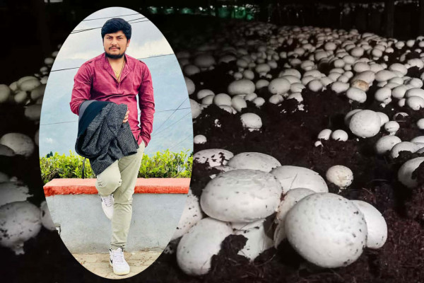 च्याउ खेतीमा जुटेका अभिनेता रिमाल