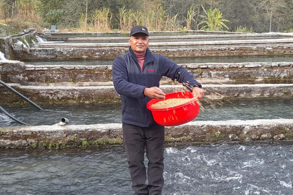 विकट गाउँमा रेन्बो ट्राउट पालन गर्दै पूर्वप्रहरी विकास