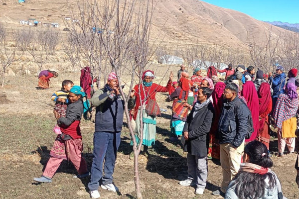 जुम्लाको स्याउ खेती : बगैँचामै सुधार अभियानले नयाँ जीवन पाएँ