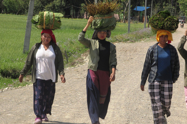 माघीको मौलिकता: वनको पातदेखि मनको मिलनसम्म