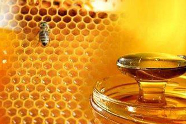 ‘दोस्रो प्रादेशिक मह महोत्सव’ भोलिदेखि