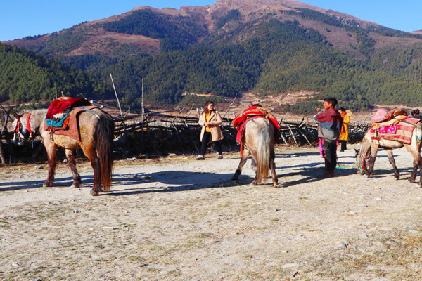 चिसो याममा पनि ढोरपाटनमा पर्यटकको चहलपहल