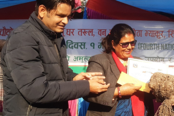 पोखरामा बृहत् कन्दमूल प्रदर्शनी