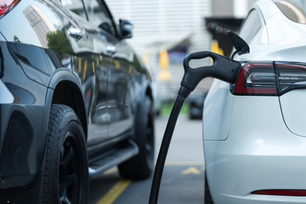 वीरगञ्जबाट विद्युतीय सवारीसाधनको आयातमा वृद्धि