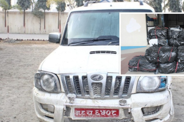 दुर्घटनामा परेको स्कारपिओबाट ४२० केजी गाँजा बरामद