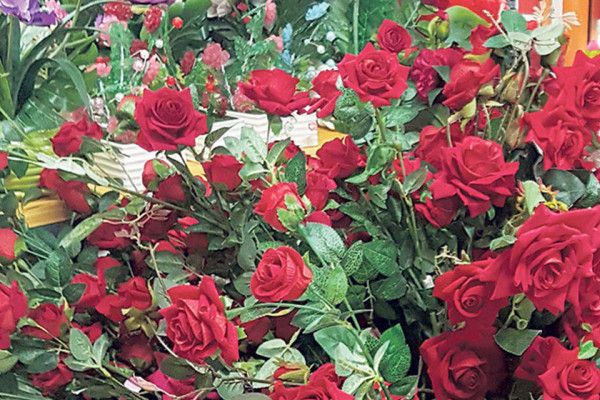 प्रणय दिवसमा सात करोडको गुलाब बिक्री