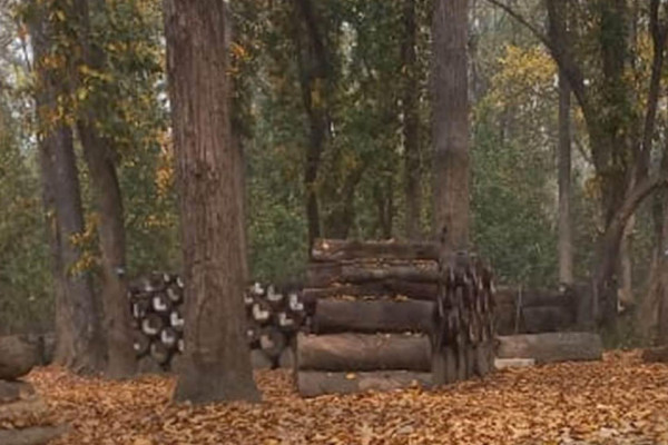 कञ्चनपुरमा डढेलोको जोखिम बढ्दो, पूर्व तयारी कमजोर