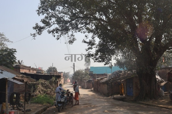 रुपन्देही-४ का मतदाता भन्छन् : हामीलाई विकासप्रेमी नेता चाहिएको छ