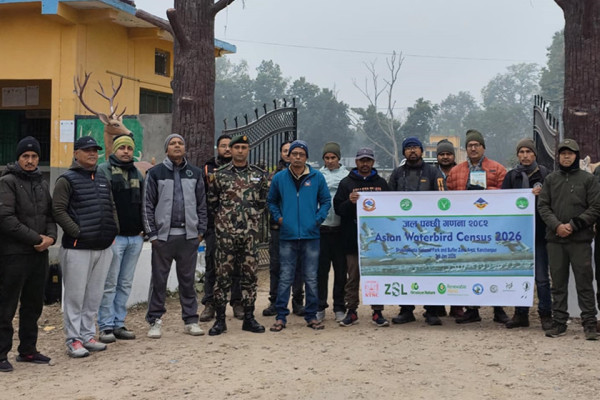 कञ्चनपुरमा जलपन्छी गणना सम्पन्न, नतिजा केही दिनमै आउने