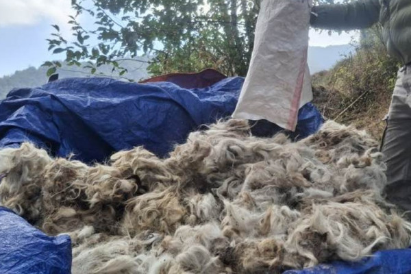 परम्परागत सीप संरक्षण गर्न राडीपाखी बुन्ने तालिम